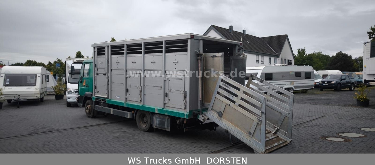 MAN LE 8.220 Menke Einstock Großvieh - Livestock truck: picture 3 MAN LE 8.220 Menke Einstock Großvieh - Livestock truck: picture 3