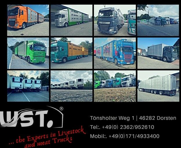 Livestock semi-trailer Menke-Janzen 3 Stock , Lenkachse , Hubdach: picture 38