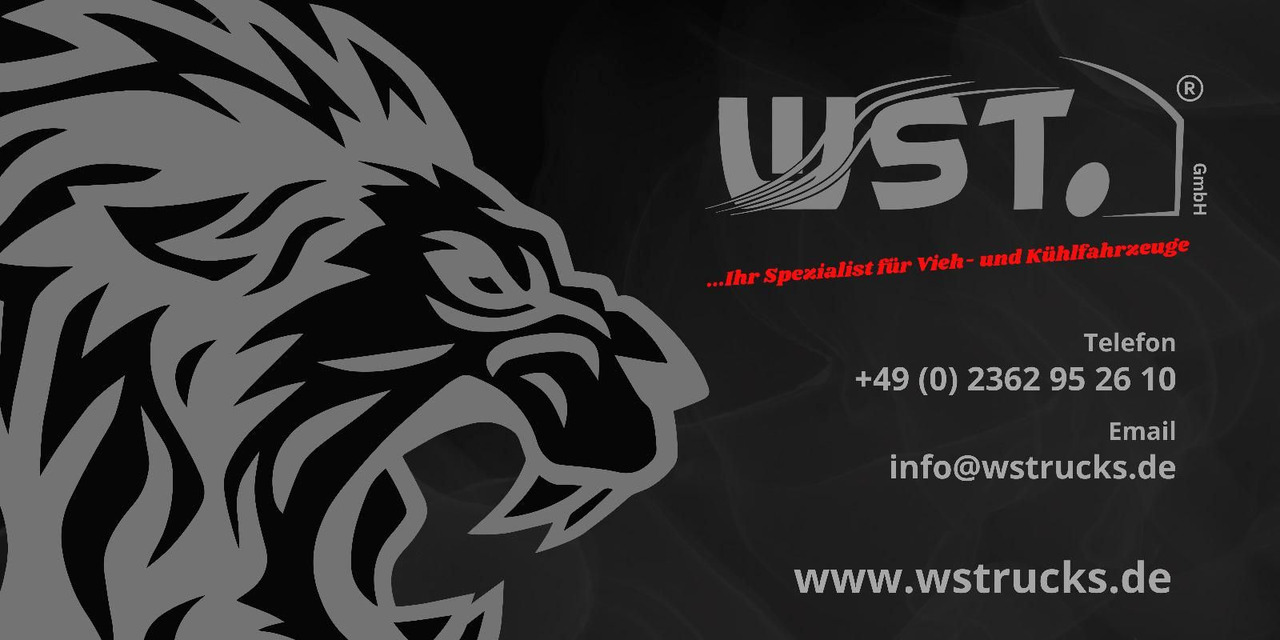 Container transporter/ Swap body trailer Schmitz Cargobull BDF Wechselbrücke AFW 18: picture 12 Container transporter/ Swap body trailer Schmitz Cargobull BDF Wechselbrücke AFW 18: picture 12