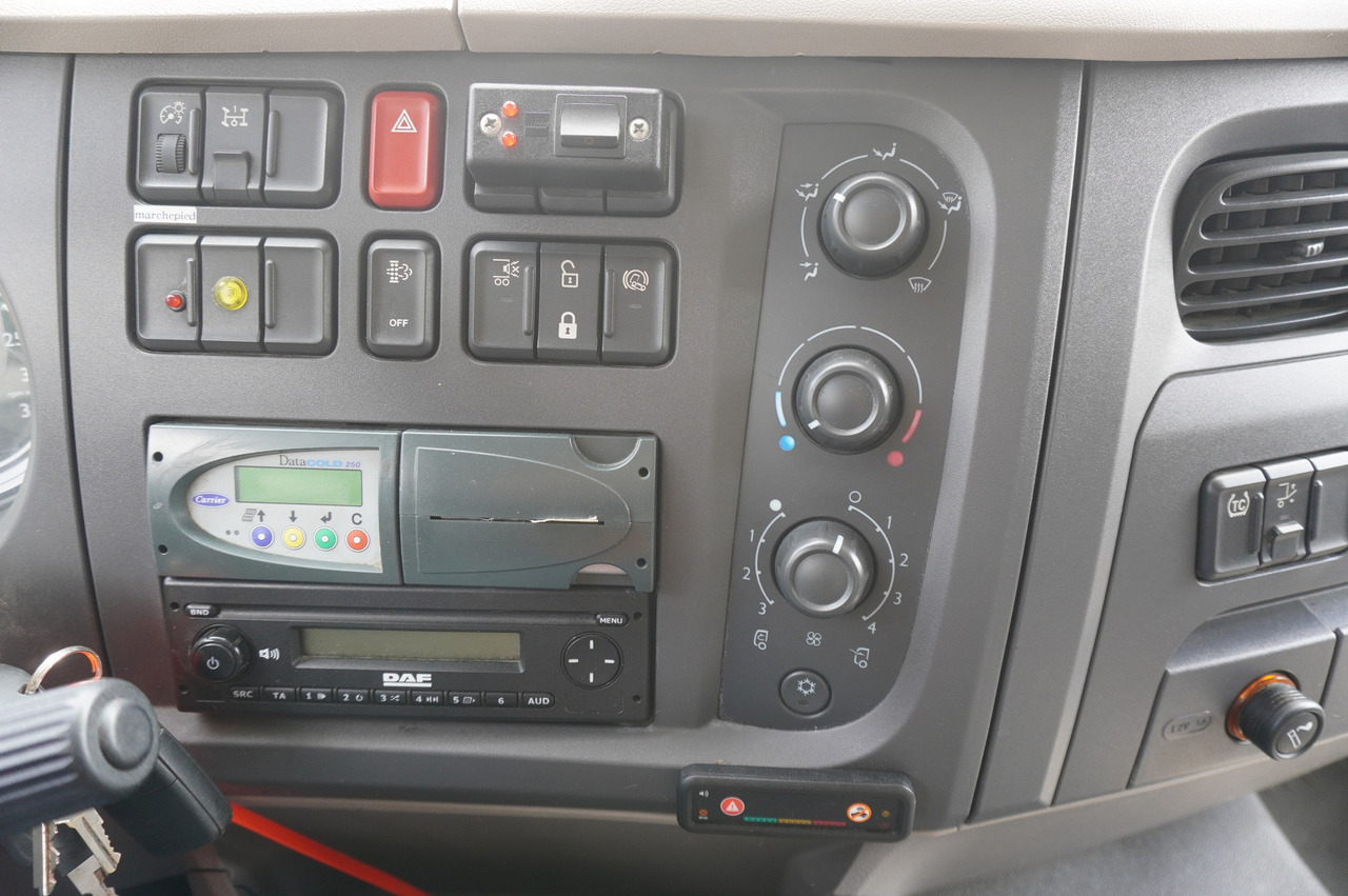 Refrigerator truck DAF LF 220 / Refrigerator 16 EPAL Multitemp / Carrier Supra 1150 MT / Palfinger 1500 kg: picture 19