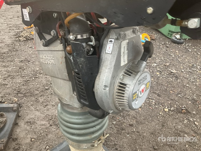 Rammer 2020 Wacker Neuson BS50-2plus Jumping Jack Tamper Jumping Jack Tamper: picture 6