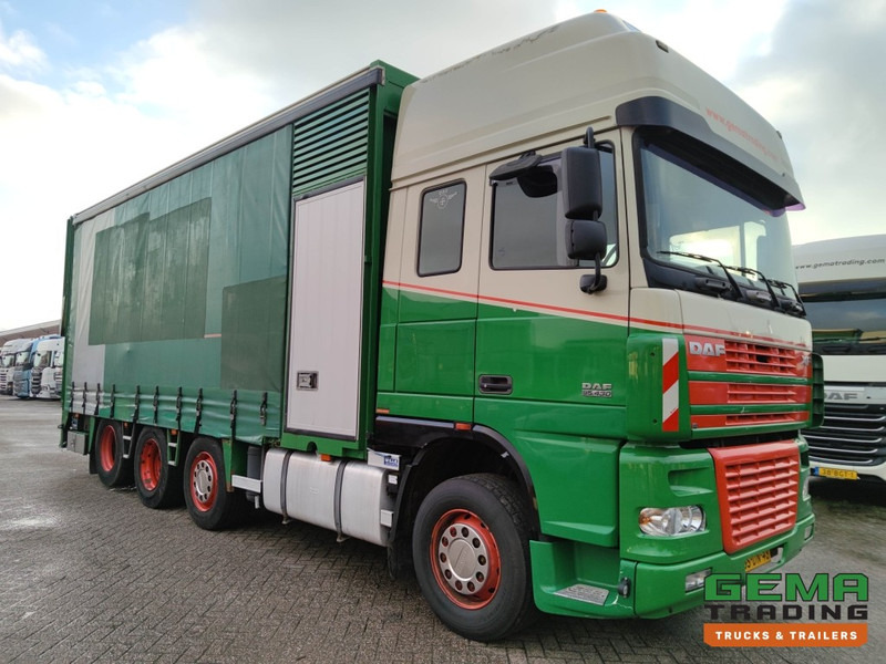 DAF FAK XF95.430 8x2 Super SuperSpaceCab Euro3 - CurtainSider 7.31m + Ramp 16T - MachineTransporter - 6 Persons (V558) - Autotransporter truck: picture 3 DAF FAK XF95.430 8x2 Super SuperSpaceCab Euro3 - CurtainSider 7.31m + Ramp 16T - MachineTransporter - 6 Persons (V558) - Autotransporter truck: picture 3