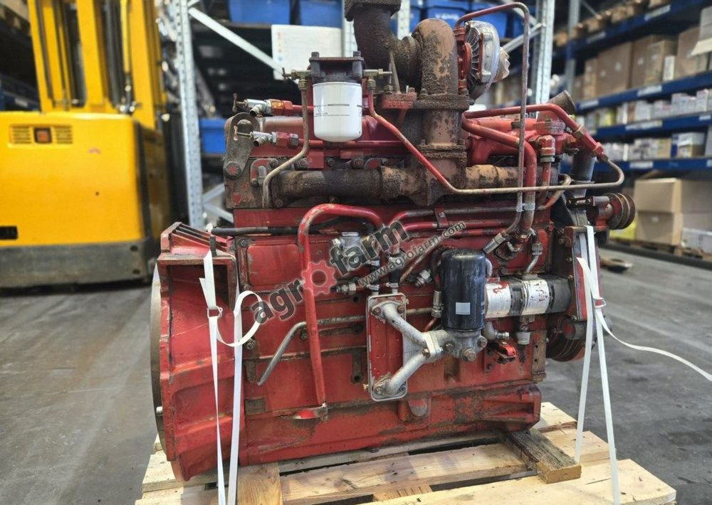 Silnik Case Internacional 1255XL, DT-358 - Engine for Truck: picture 4 Silnik Case Internacional 1255XL, DT-358 - Engine for Truck: picture 4