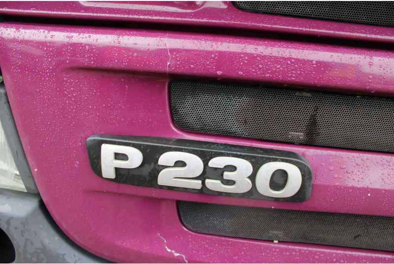 Refrigerator truck Scania P230 + CARRIER + euro 5: picture 6