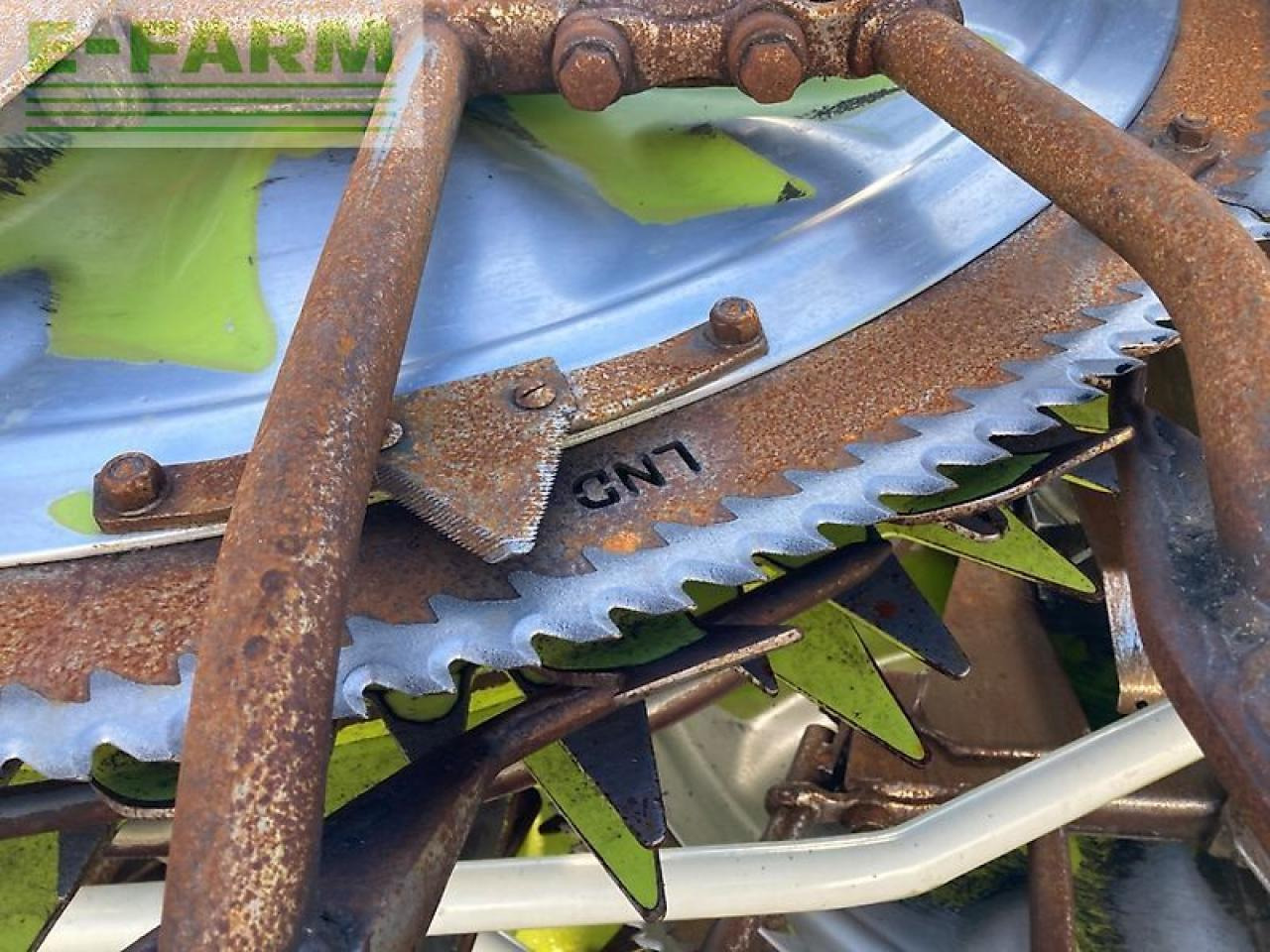 Forage harvester attachment CLAAS orbis 750: picture 13