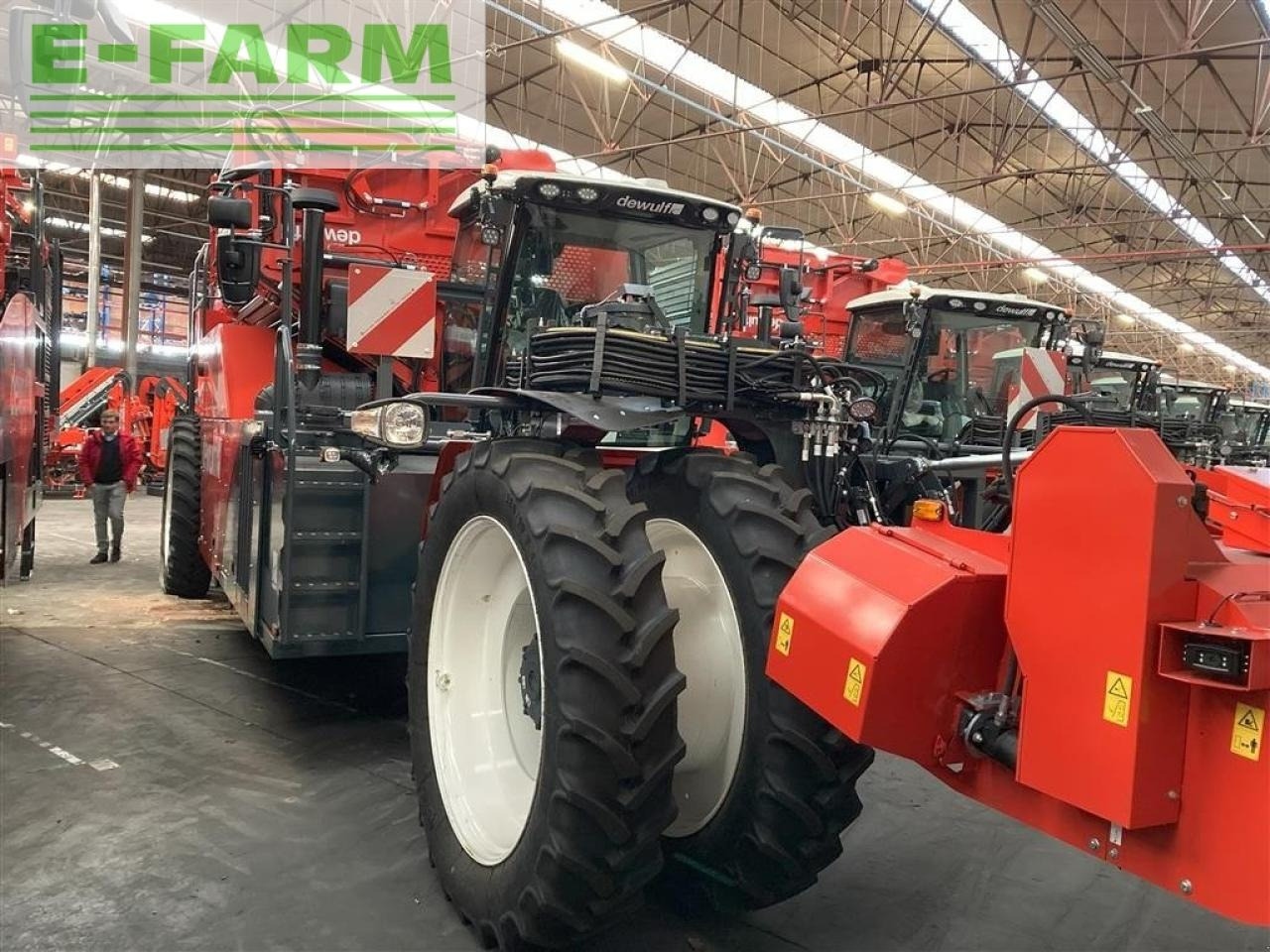 Dewulf rqa3060 - topkæde - Potato harvester: picture 1 Dewulf rqa3060 - topkæde - Potato harvester: picture 1