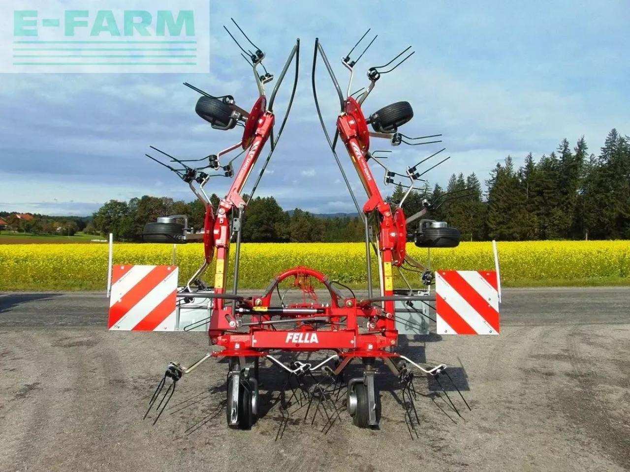 Fella sanos 6606 dn - Tedder/ Rake: picture 5 Fella sanos 6606 dn - Tedder/ Rake: picture 5