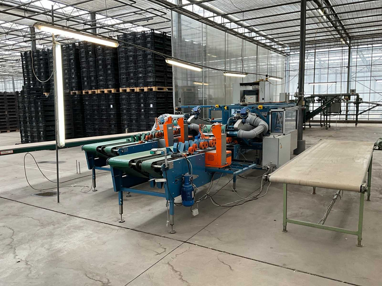 Havatec Tulipstar - Post-harvest equipment: picture 2 Havatec Tulipstar - Post-harvest equipment: picture 2