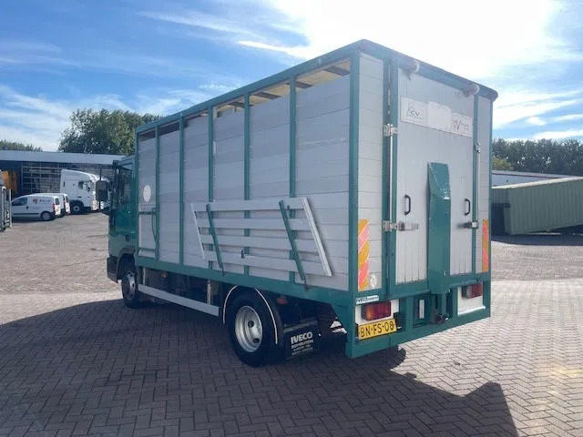 Iveco EuroCargo 65 FULL STEEL / MANUAL-GEAR - Cab chassis truck: picture 5 Iveco EuroCargo 65 FULL STEEL / MANUAL-GEAR - Cab chassis truck: picture 5