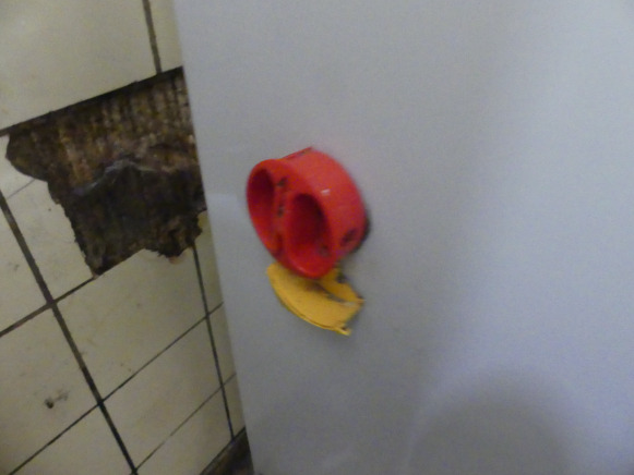 Batteur Kaplain BT40F - Food processing equipment: picture 5 Batteur Kaplain BT40F - Food processing equipment: picture 5