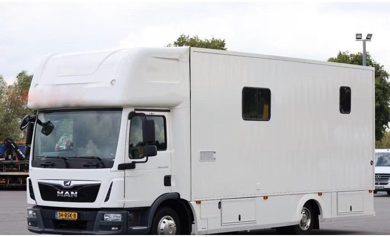 MAN TGL 8.190 - - Horse truck: picture 1 MAN TGL 8.190 - - Horse truck: picture 1