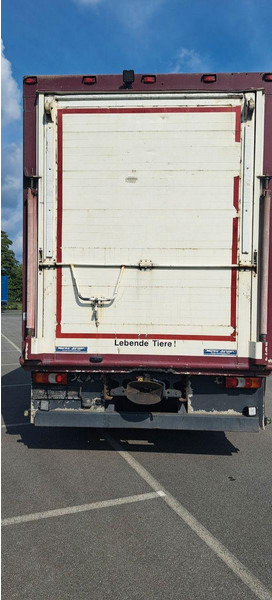 Mercedes-Benz Actros 1851 - Livestock truck: picture 5 Mercedes-Benz Actros 1851 - Livestock truck: picture 5