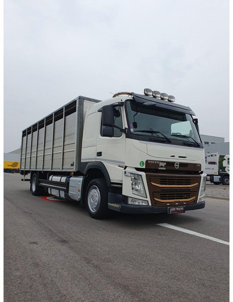 Volvo FM 500 Viehtransporter ( Rind / beef ) - Livestock truck: picture 1 Volvo FM 500 Viehtransporter ( Rind / beef ) - Livestock truck: picture 1