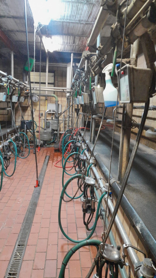 Melkstand - Milking equipment: picture 3 Melkstand - Milking equipment: picture 3