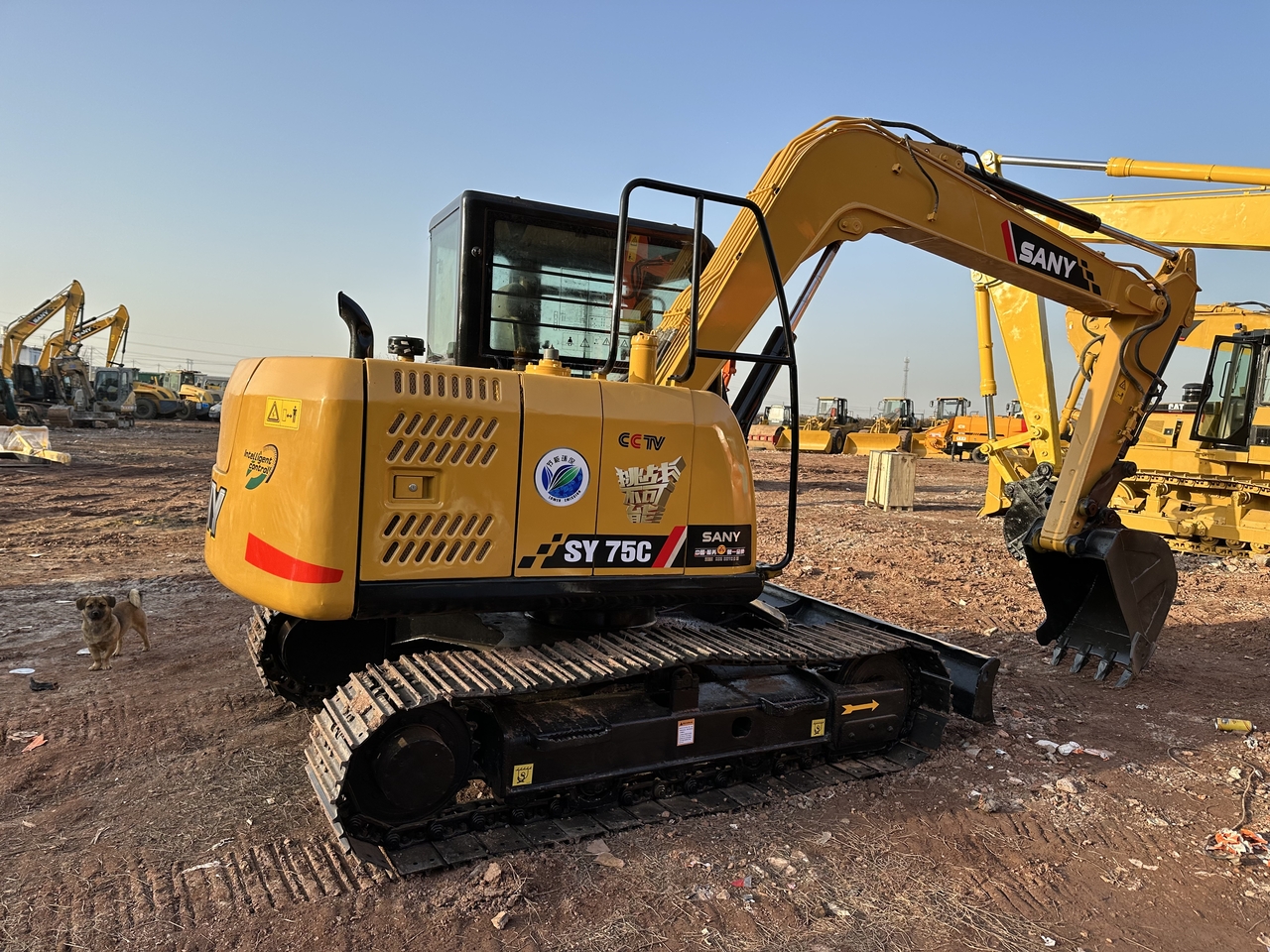 SANY 75C - Mini excavator: picture 2 SANY 75C - Mini excavator: picture 2