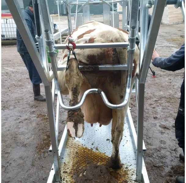 New Livestock equipment Klauwbekapbox Type L: picture 6