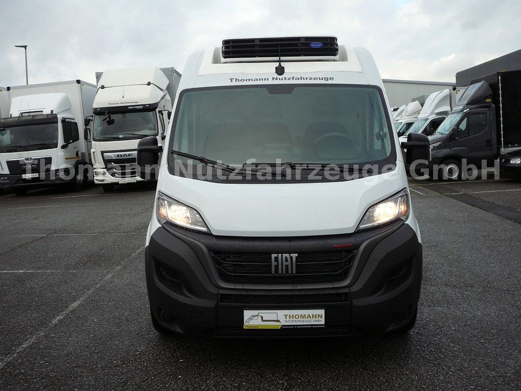 Fiat Ducato Kühlkasten L4/H2 Carrier Xarios 300GH - Refrigerated van: picture 2 Fiat Ducato Kühlkasten L4/H2 Carrier Xarios 300GH - Refrigerated van: picture 2
