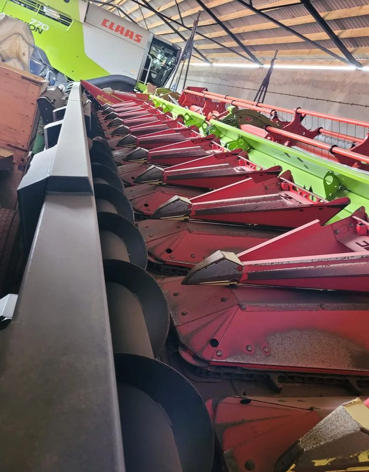 Olimac Drago II - Corn header: picture 2 Olimac Drago II - Corn header: picture 2