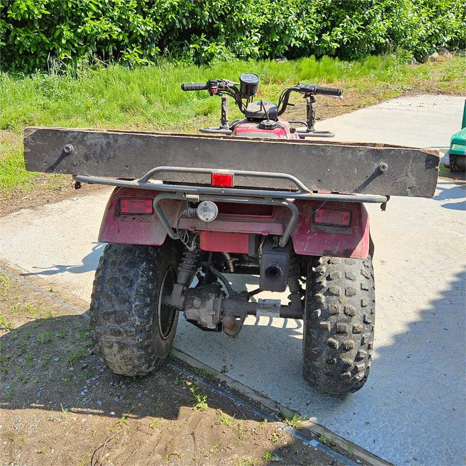 Kawasaki KLF 250 - Side-by-side/ ATV: picture 5 Kawasaki KLF 250 - Side-by-side/ ATV: picture 5
