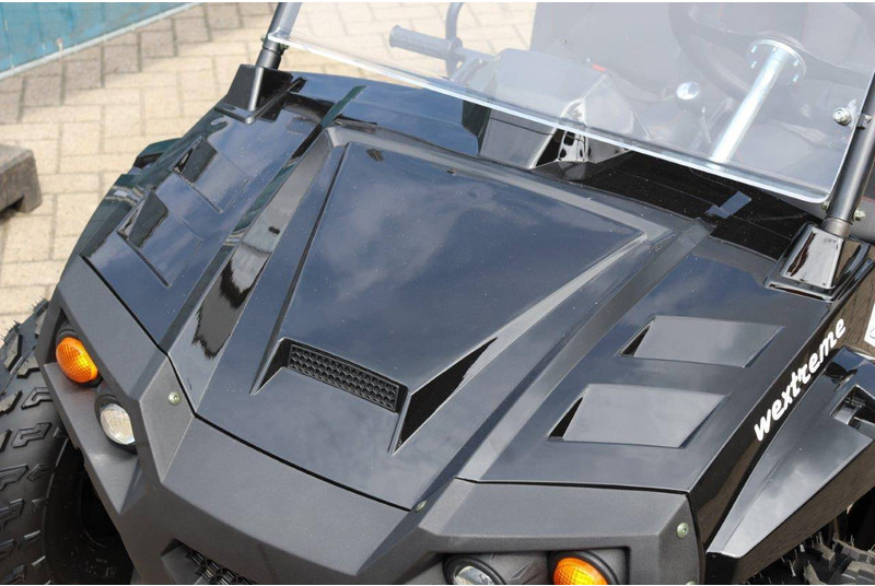 New Golf cart Wextrem UTV-ATV 200 Pro: picture 10 New Golf cart Wextrem UTV-ATV 200 Pro: picture 10