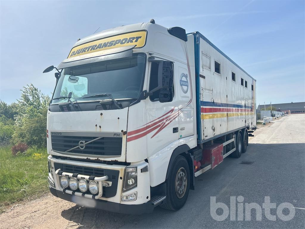 VOLVO FH 420 6*2 - Livestock truck: picture 2 VOLVO FH 420 6*2 - Livestock truck: picture 2