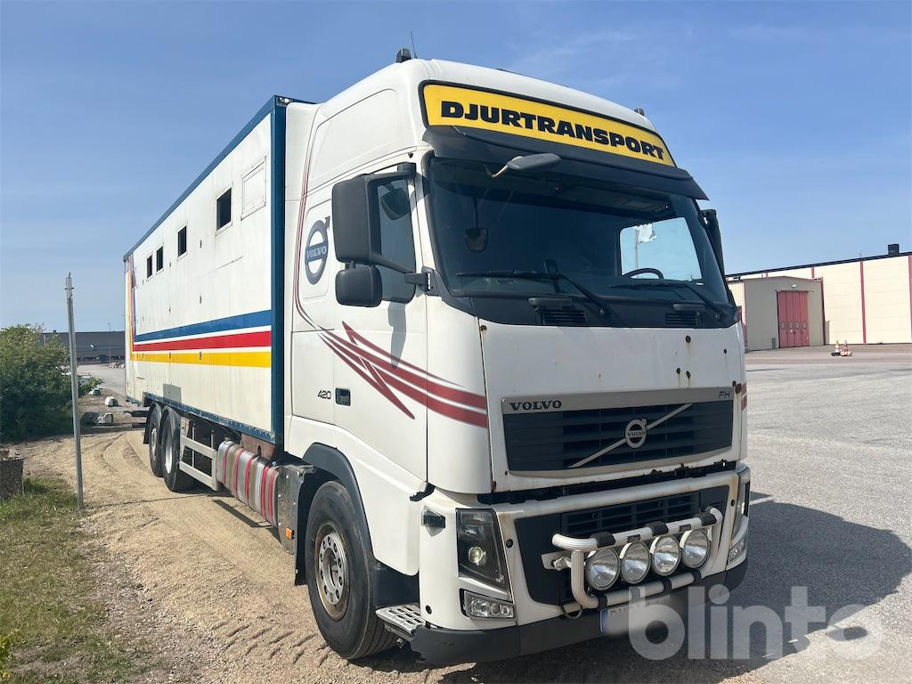 VOLVO FH 420 6*2 - Livestock truck: picture 4 VOLVO FH 420 6*2 - Livestock truck: picture 4
