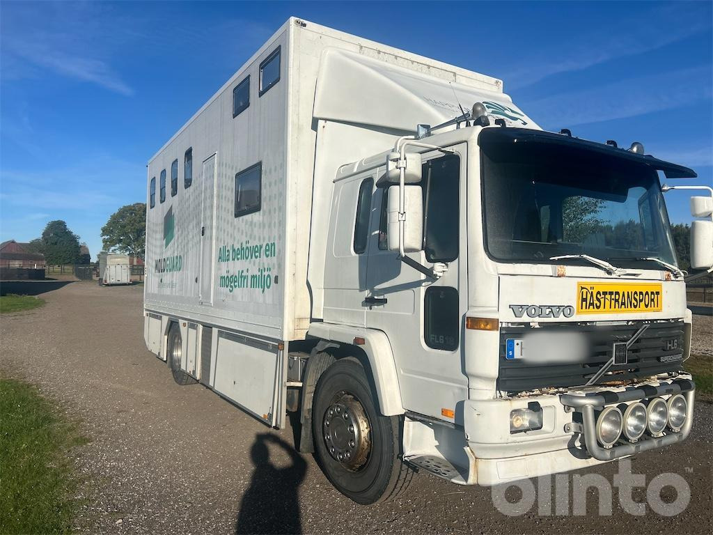 VOLVO FL 618 - Horse truck: picture 4 VOLVO FL 618 - Horse truck: picture 4