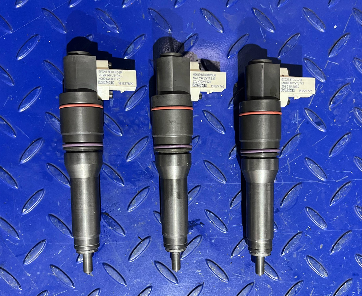 DELPHI 2005596 - Injector: picture 2 DELPHI 2005596 - Injector: picture 2